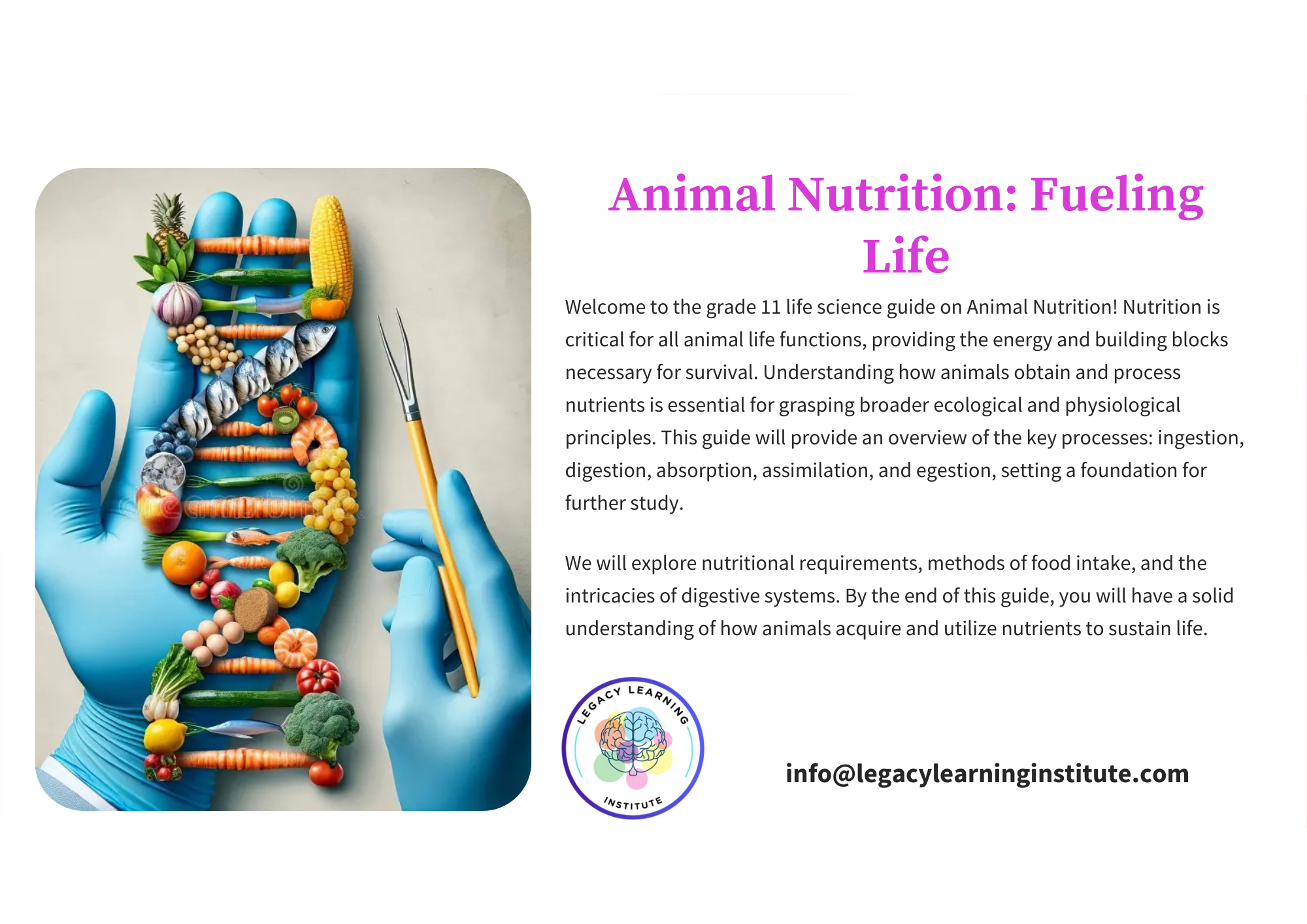 Life Science - Animal Nutrition