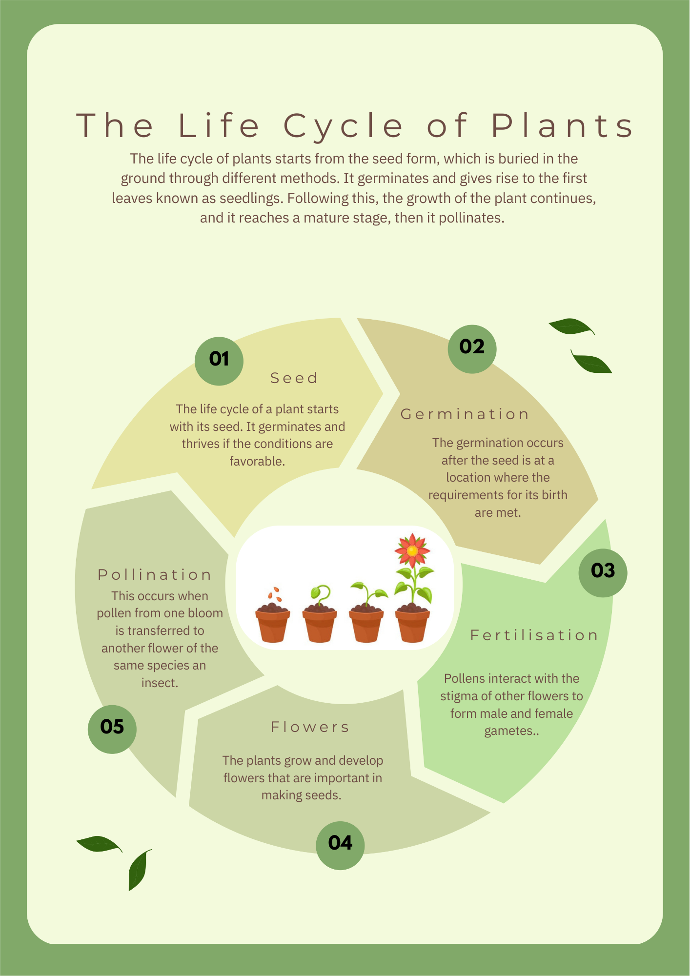 Life Science - The Cycle Of Plants
