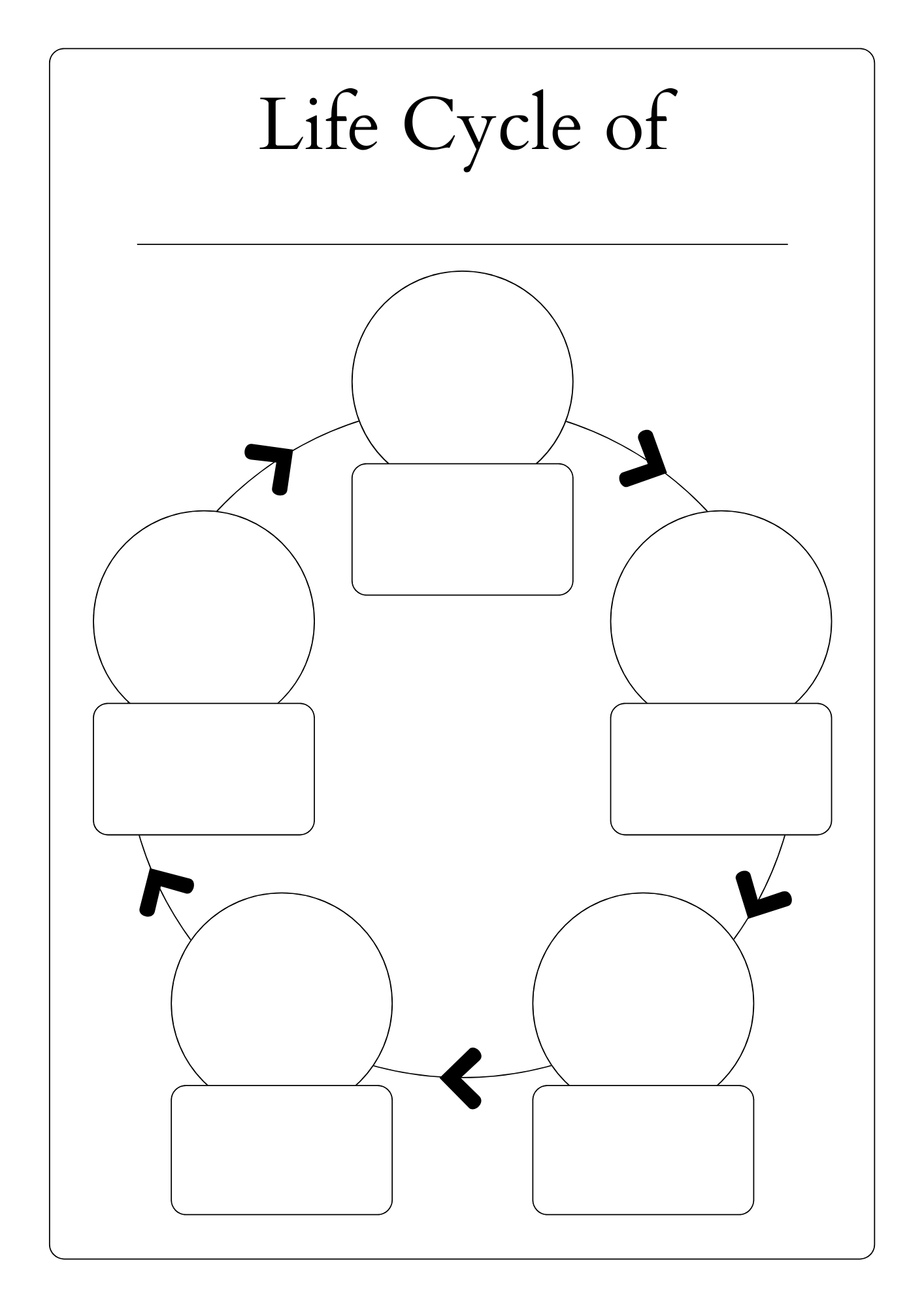 Untitled design (4)